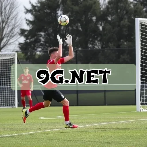 9g.net - Dicas